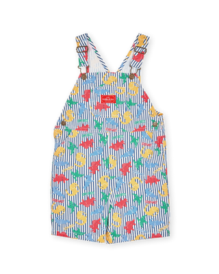 Dino Print Burton Overalls