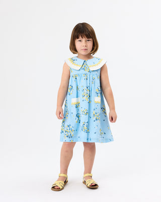 Floral Lucy Dress