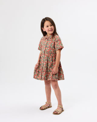 Strawberry Monica Dress