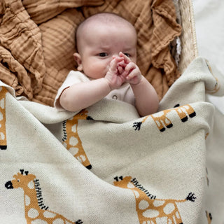 Giraffe Giggles Baby Blanket