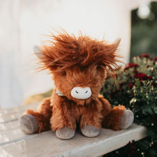 Hamish Highland Cow