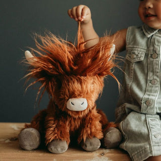 Hamish Highland Cow