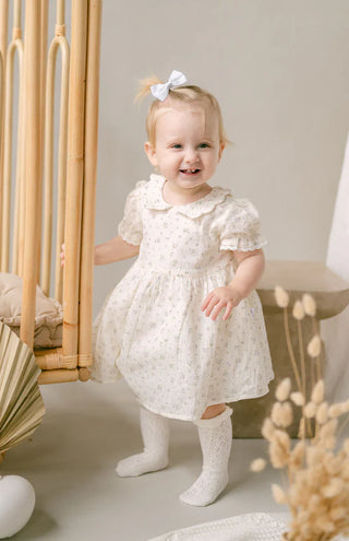 Sofia Floral Collared Dress