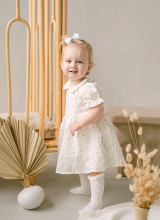 Sofia Floral Collared Dress