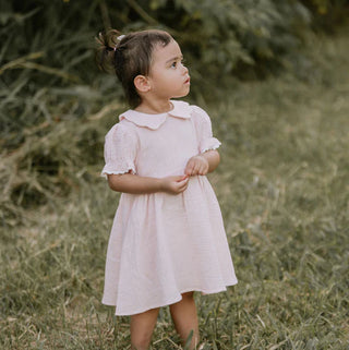 Pink Muslin Trim Dress