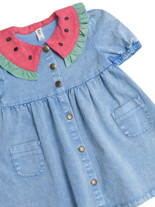 I Carried a Watermelon Denim Dress
