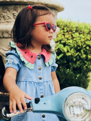 I Carried a Watermelon Denim Dress