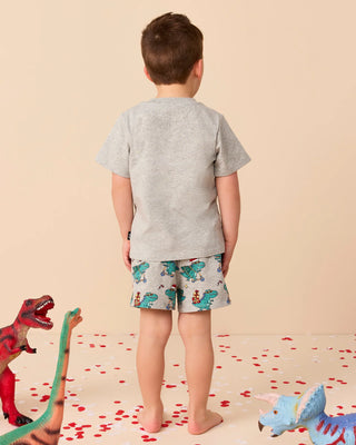 Chase Sleep Set - GREY MARLE