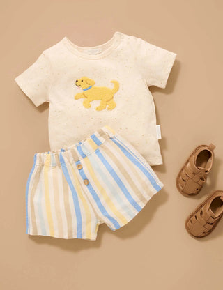 Doggy Short and Tee Set - Playful Stripe