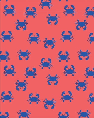 Reusable Swim Nappy Pirate Mud Crabs