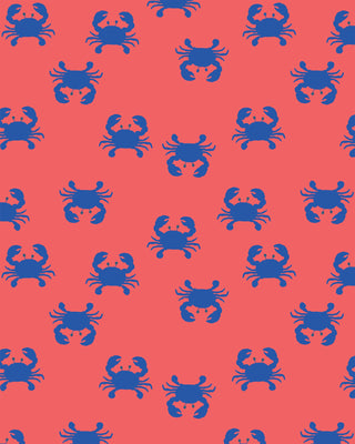 Swim Sunhat Pirate Mud Crabs