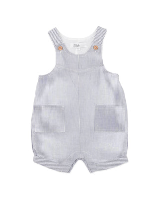 BRADY STRIPE WOVEN OVERALLS