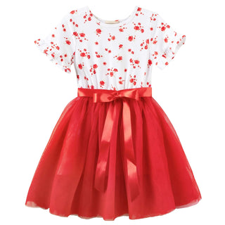 Alyssa Floral S/S Tutu Dress